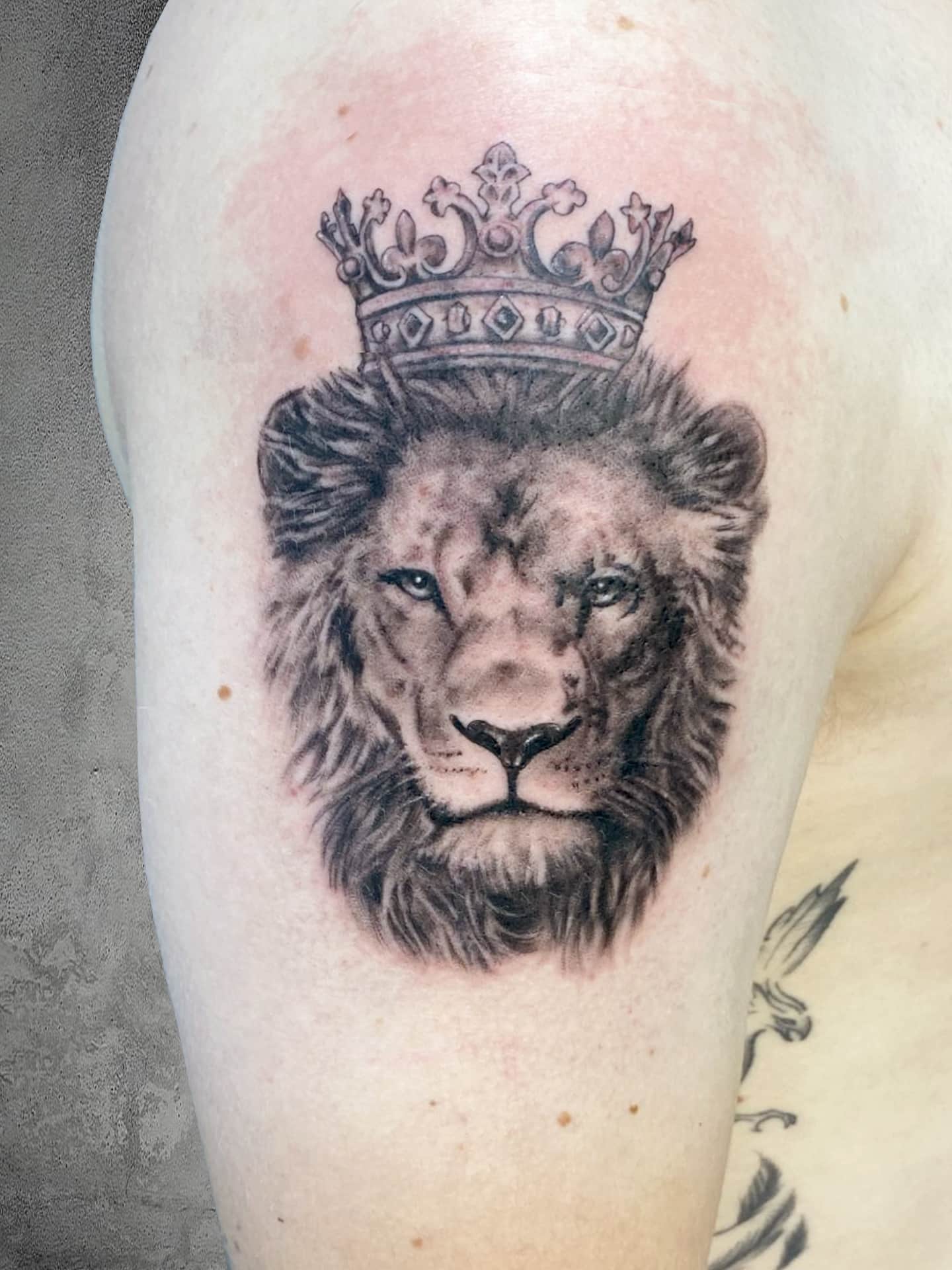 leon-corona-rey-lion-king